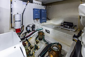 Irish Lady 104 4L4A8897