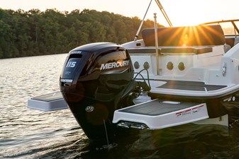 Bayliner DX2000 9 