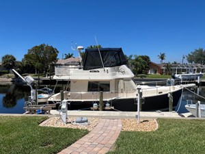 NAUTI DOG 11 9328323_961407809_0_070420240658_2