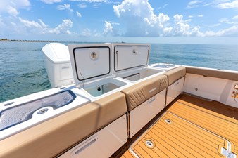 Shine V 18 Cockpit Livewells