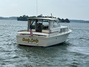 Shady Lady 9 