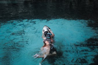 GOLDFINGER 58 50 OVERBLUE GOLDFINGER 58 CATAMARAN FOR SALE