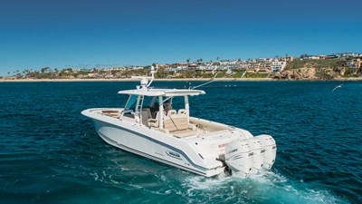 Robin Ann 41 