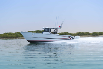 SILVERCAT 40CC 25 