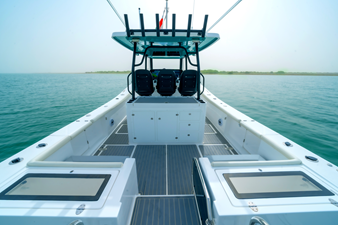 SILVERCAT 34CC 2 
