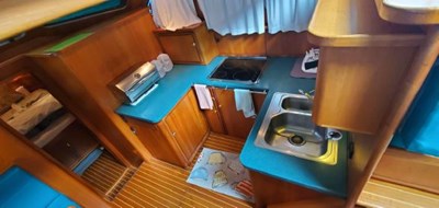 DOG'S LIFE 8 7300543_20191204095159150_1_XLARGE