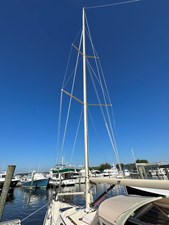 HERON 21 Hall Carbon Spar