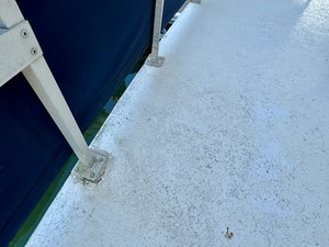 Dragonfly Chaser 111 