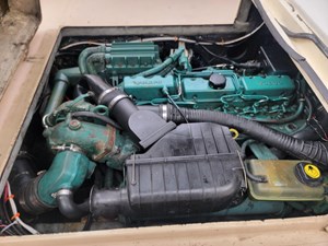 Bay Rat II 41 