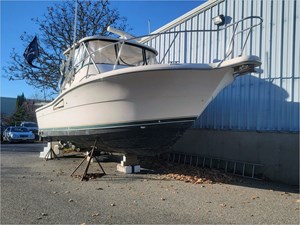 30 PURSUIT 1996 0 