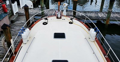 Miss Gratitude 41 