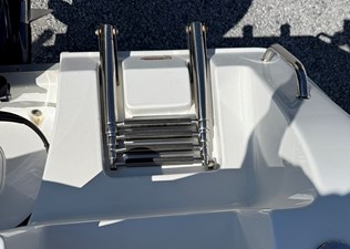  -  11 Swim ladder