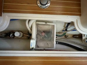 Silken Raider 37 