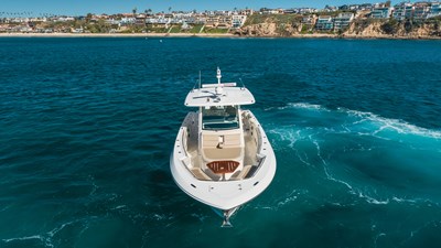 Robin Ann 51 