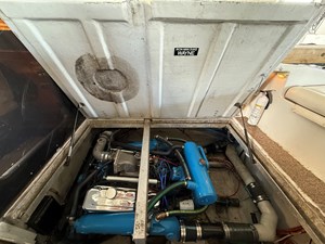 Caribbean Express 19 