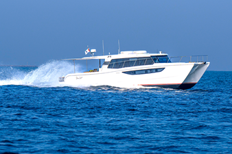 #2 SILVERCAT 46LUX 46 