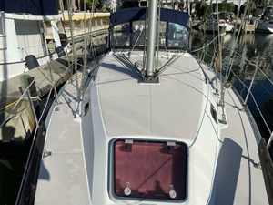 Silken Raider 8 