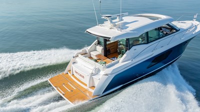 BACCHUS 36 Profile