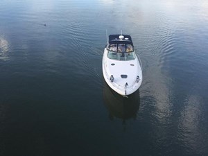 NOELS ARK 37 