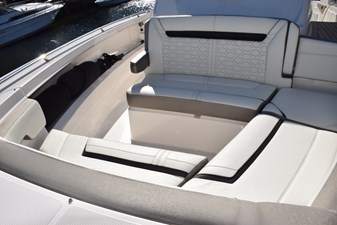 ERIKA RAY 22 Easy access to forward seating on starboard side  