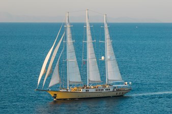 YAZZ 36 