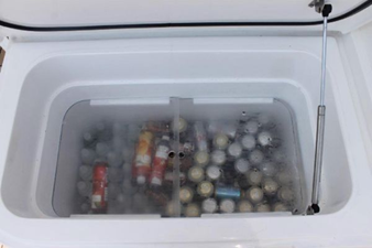 2006 Buddy Davis 52 Sport Express FIsh 30 31