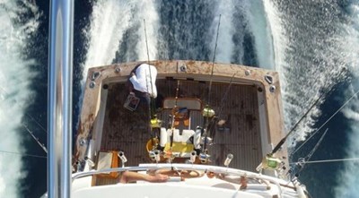 Limited Edition 4 47-1989-Buddy-Davis-Sportfish-05