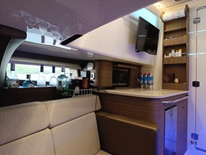 Bravia 20 