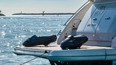 Sea Wolf 47 44