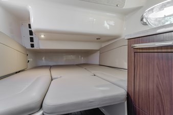 Robin Ann 32 