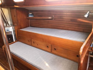 Delphi 46 