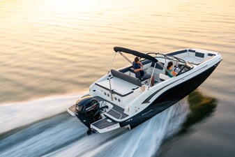 Bayliner DX2000 4 