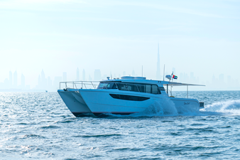 #2 SILVERCAT 46LUX 45 