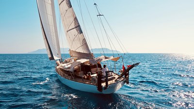Levantina  50 