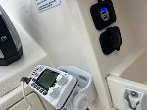 Cobia 3 5 