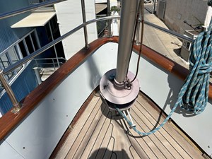 IRIS 17 IMG_0918
