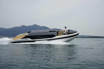 DarieLimo 9.5 0 