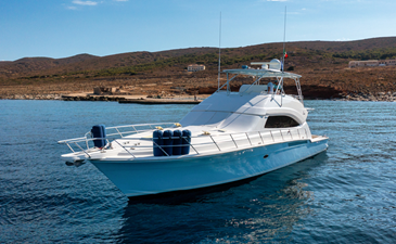 TBA 21 bb5bb496-e646-4029-9bbf-404bf76e5a4a