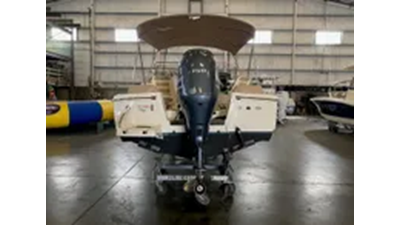 2023 Scout 195 Sport Dorado 5 
