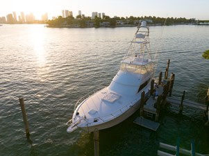 VENTURA 2 Ariel Bow Image 1 