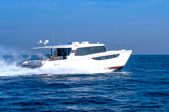 #2 SILVERCAT 46LUX 47 