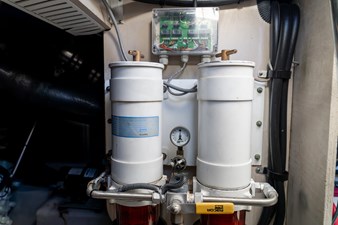 Glory's Coming 55 54