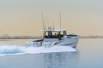 SILVERCAT 40CC 28 