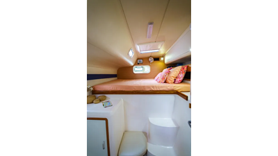 Dreaming On 2 3. 2003 Leopard 47