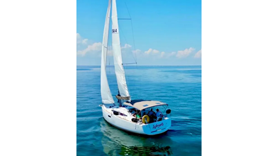2014 Jeanneau Sun Odyssey 349 29 