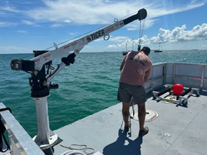 2024 Custom 49 Pax  36 36