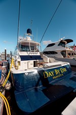 DAY BY DAY 81 82