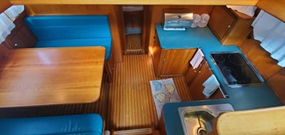 DOG'S LIFE 9 7300543_20191204095639625_1_XLARGE