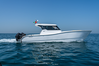 #1  SILVERCAT 34HT 0 