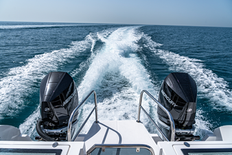 #1  SILVERCAT 34HT 11 